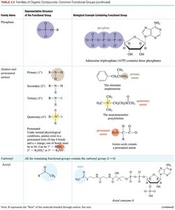 Table of functional groups: phosphates, amines, amides, carbonyls