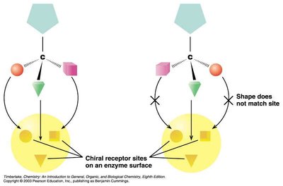 Biological consequences of chirality: limonene and pharmaceuticals
