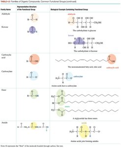 Table of functional groups: aldehyde, ketone, carboxylic acid, ester, amide