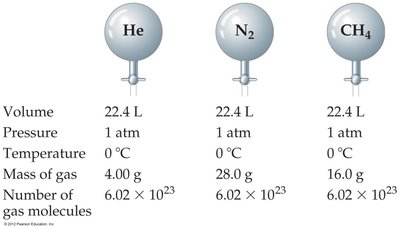 Avogadro's Law: Equal Volumes of Gases at STP
