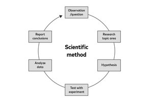 Diagram of the scientific method