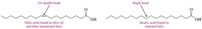 Conversion of oleic acid to stearic acid by hydrogenation