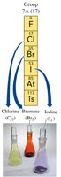 Halogens in Group 7A