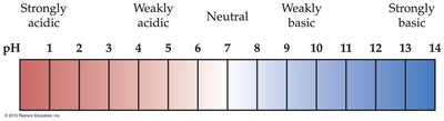 pH scale