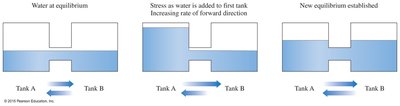 Le Châtelier's Principle illustrated