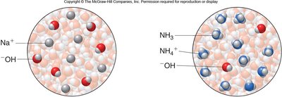 Strong vs. weak base dissociation