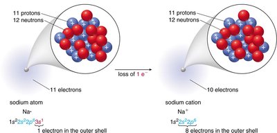 Formation of sodium cation