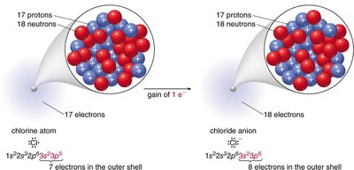 Formation of chloride anion