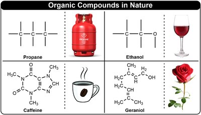Examples of organic compounds in nature