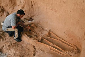 Archaeologist examining skeleton for radiocarbon dating