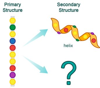 Primary and Secondary Structure Diagram