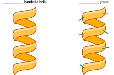 Alpha Helix Details
