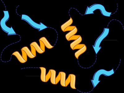 Tertiary Structure Interactions