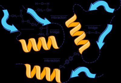 Quaternary Structure Overview