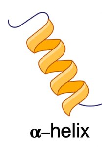 Summary of Protein Structure