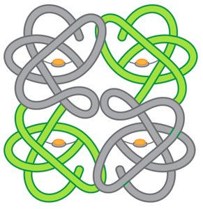 Summary of Protein Structure
