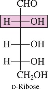 Structure of D-fructose