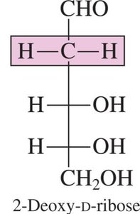 Structure of D-ribose