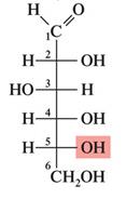 Structure of 2-deoxy-D-ribose