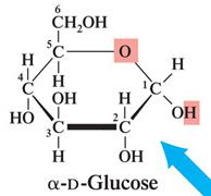 Alpha-D-glucose structure