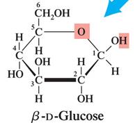 Beta-D-glucose structure