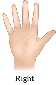 Right hand as an analogy for chirality