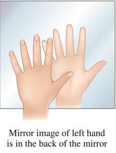 Mirror image of left and right hand