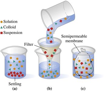 Comparison of solutions, colloids, and suspensions