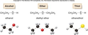 Ball-and-stick models of ethanol, diethyl ether, ethanethiol