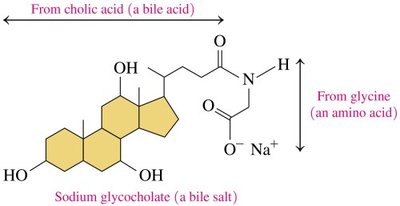 Bile salt structure