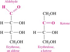 Aldose and ketose structures