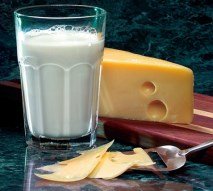 Milk and cheese as sources of lactose