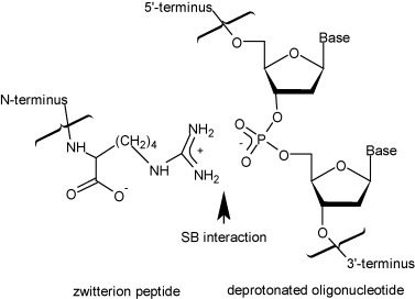 Protein-DNA interaction