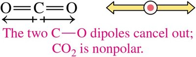 CCl4 dipoles cancel, nonpolar