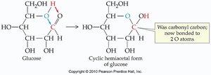 Cyclic hemiacetal formation in glucose