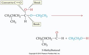 Acetal hydrolysis example