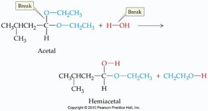 Acetal hydrolysis example