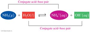 NH3 and water conjugate pairs