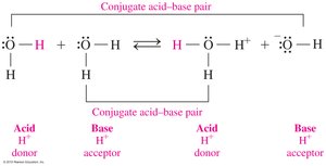 Water acting as acid and base