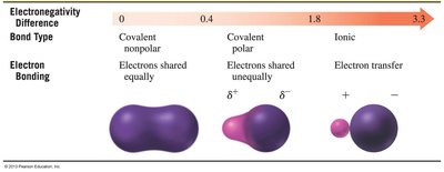 Bond type and electron sharing
