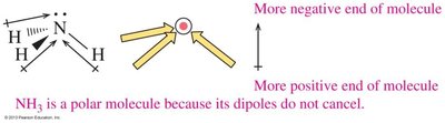 NH3 is a polar molecule