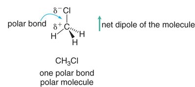 CH3Cl is a polar molecule