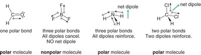 Summary of molecular polarity examples