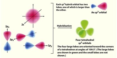 Shape of hybrid orbitals