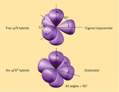 Hybridization geometries: trigonal bipyramidal, octahedral