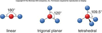 Basic molecular shapes: linear, trigonal planar, tetrahedral