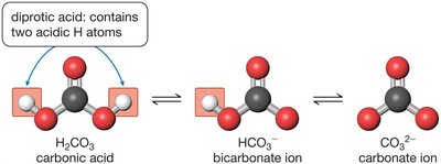 Dissociation of diprotic carbonic acid