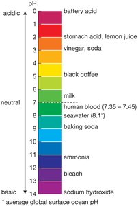 pH scale from 0 to 14 with common substances