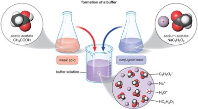 Formation of a buffer from acetic acid and sodium acetate
