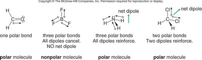 Examples of polar and nonpolar molecules